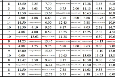 Kết quả xếp hạng toàn đoàn kỳ thi chọn Học sinh giỏi cấp THCS của Trường THCS Hải Phương
